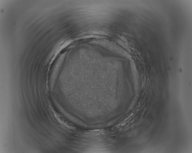 X0000067890050200605111901