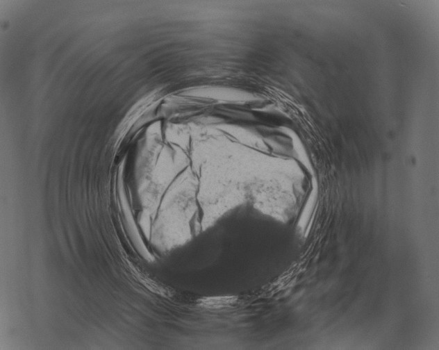 X0000067890051200605111901