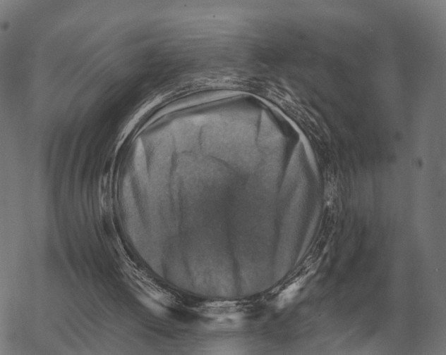 X0000067890052200605111901