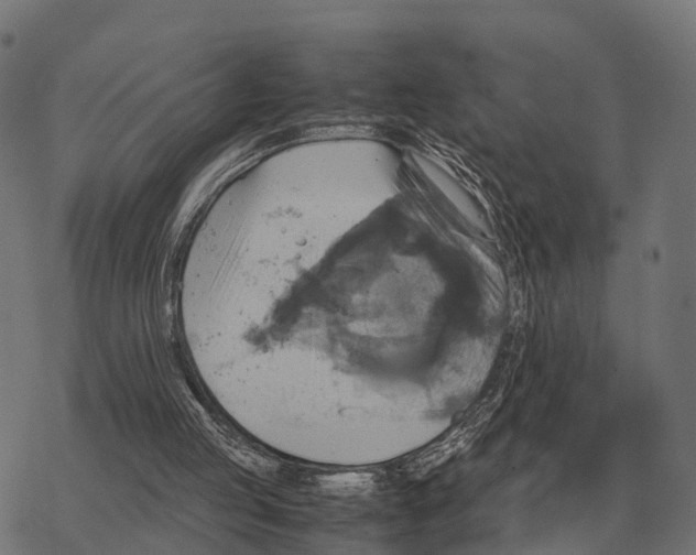 X0000067890053200605111901