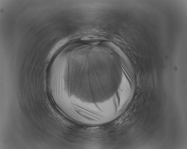 X0000067890054200605111901