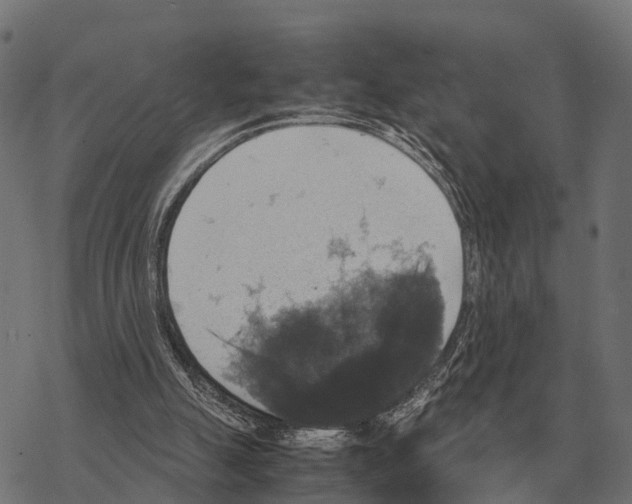 X0000067890055200605111901