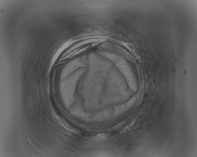 X0000067890056200605111901