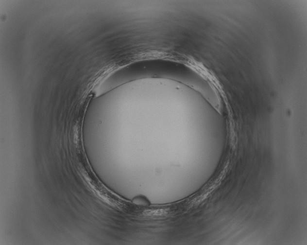 X0000067890057200605111901