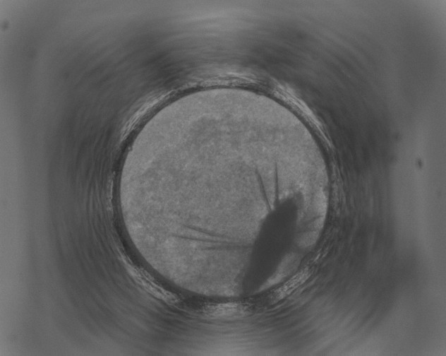 X0000067890058200605111901