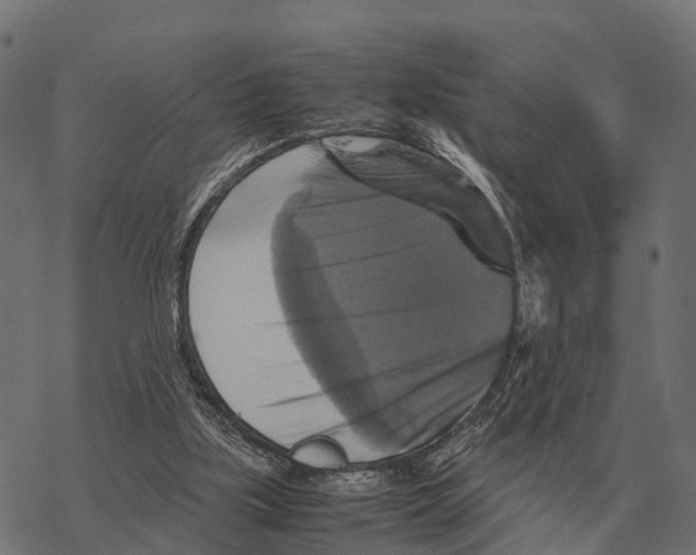 X0000067890059200605111901