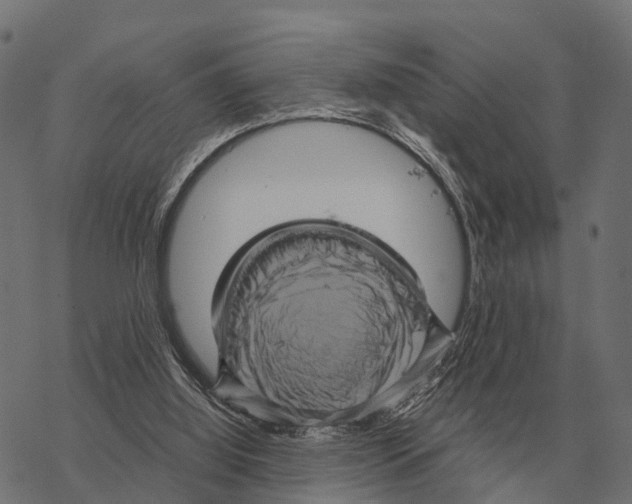 X0000067890060200605111901