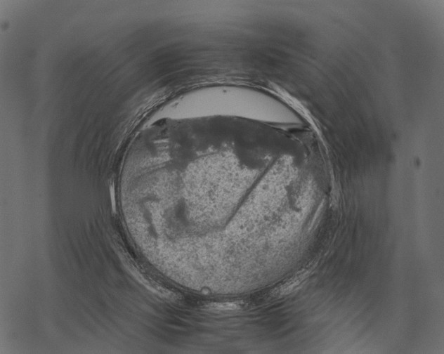 X0000067890061200605111901