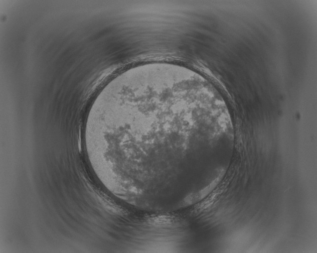 X0000067890062200605111901