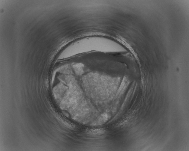 X0000067890063200605111901