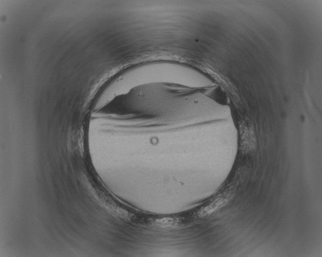 X0000067890064200605111901