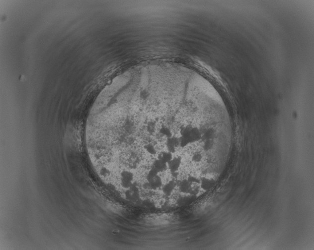 X0000067890065200605111901