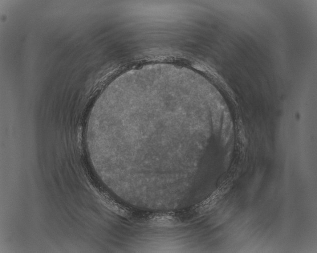 X0000067890066200605111901