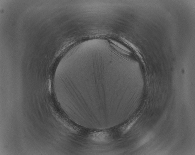 X0000067890067200605111901