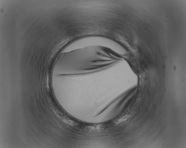 X0000067890068200605111901