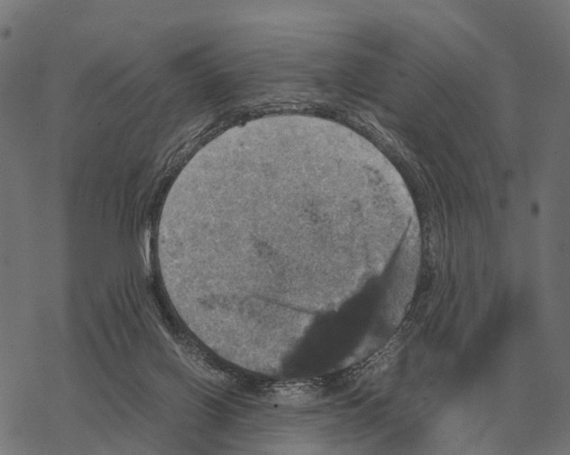 X0000067890070200605111901