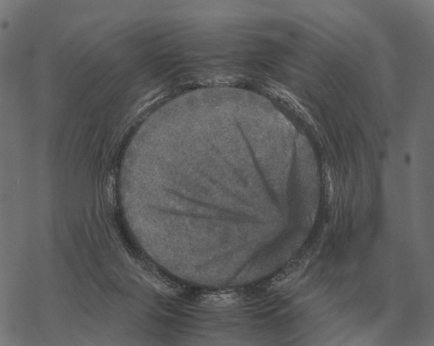 X0000067890071200605111901