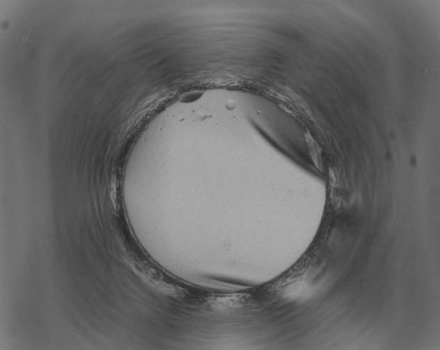 X0000067890072200605111901