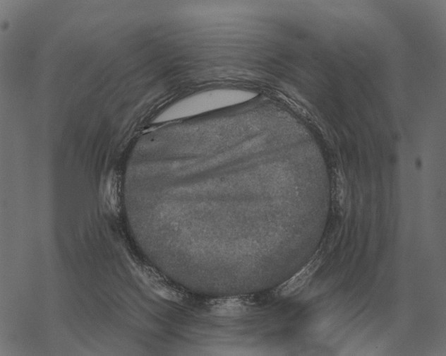 X0000067890074200605111902