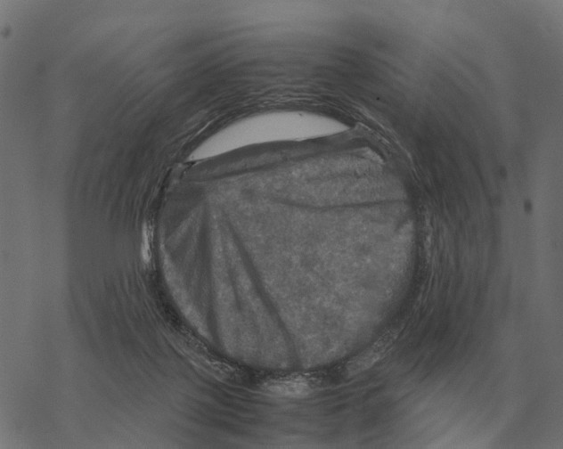 X0000067890075200605111902