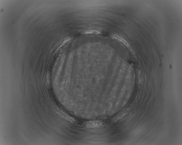 X0000067890077200605111902