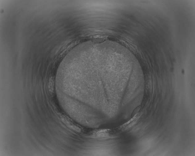 X0000067890078200605111902