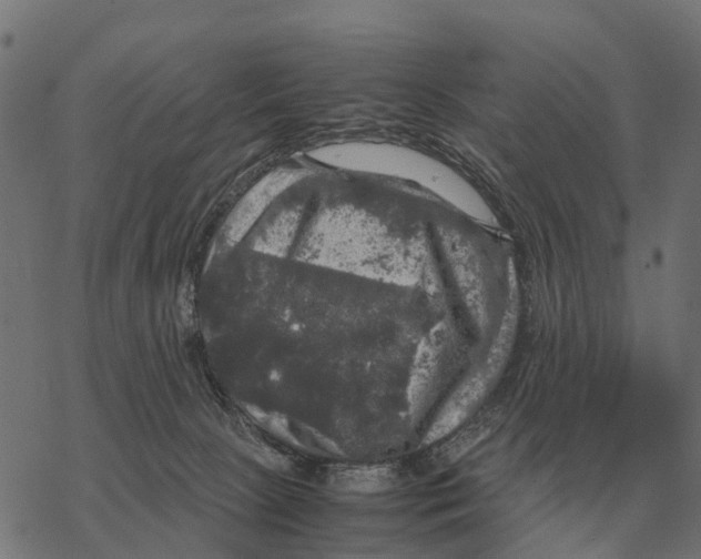 X0000067890081200605111902