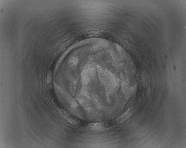 X0000067890082200605111902