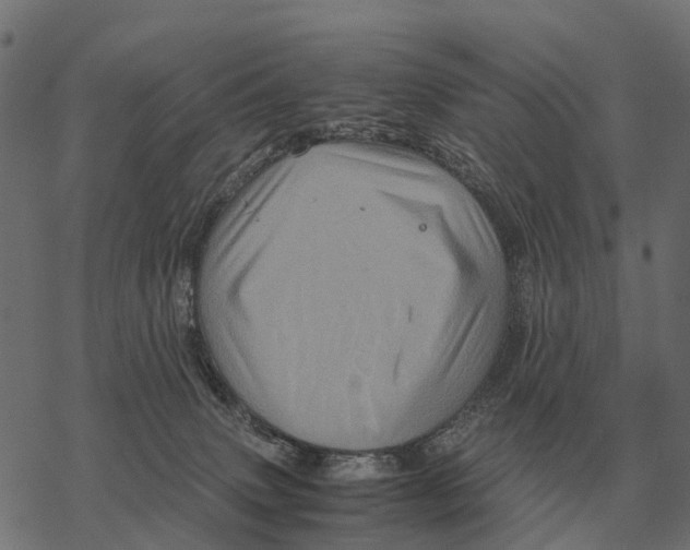 X0000067890083200605111902