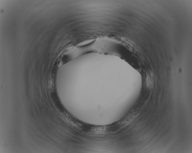 X0000067890084200605111902