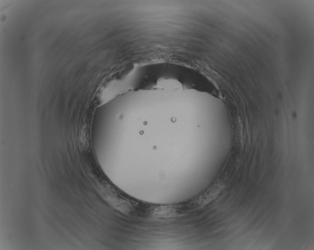 X0000067890088200605111902