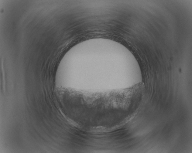 X0000067890089200605111902