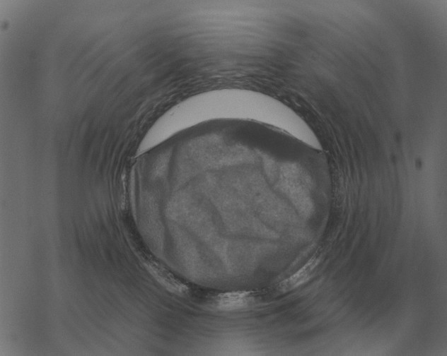 X0000067890090200605111902