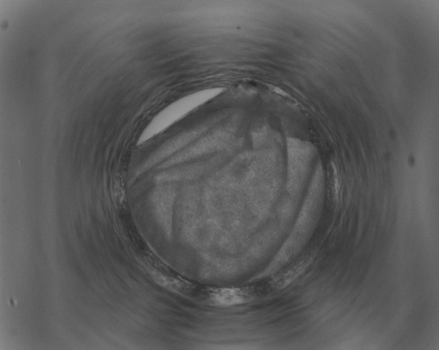 X0000067890091200605111902