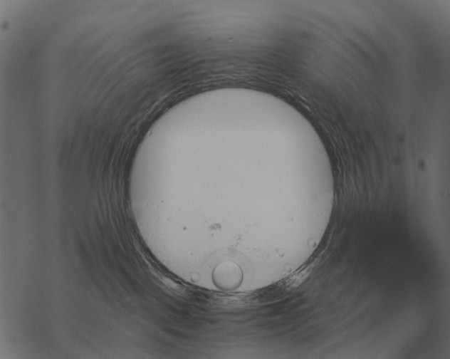 X0000067890093200605111902