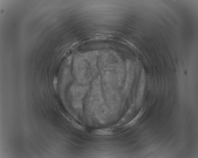 X0000067890094200605111902