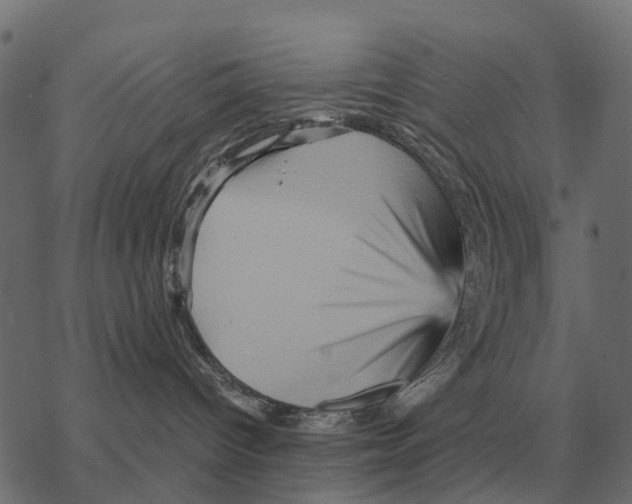 X0000067890096200605111902