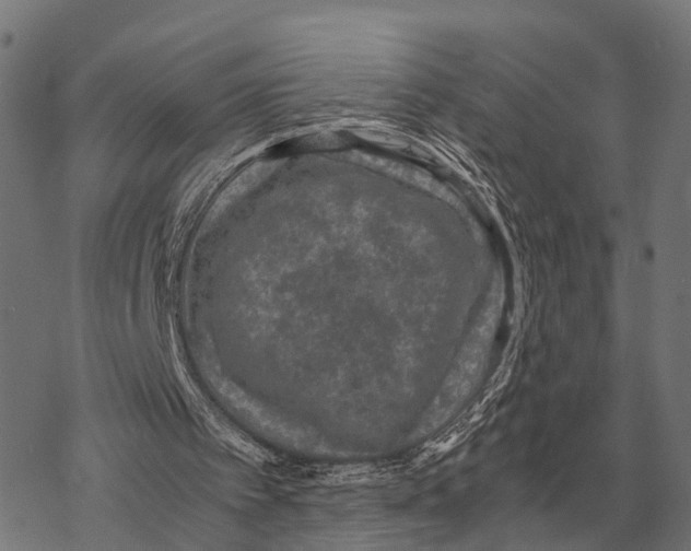 X0000067890097200605111901