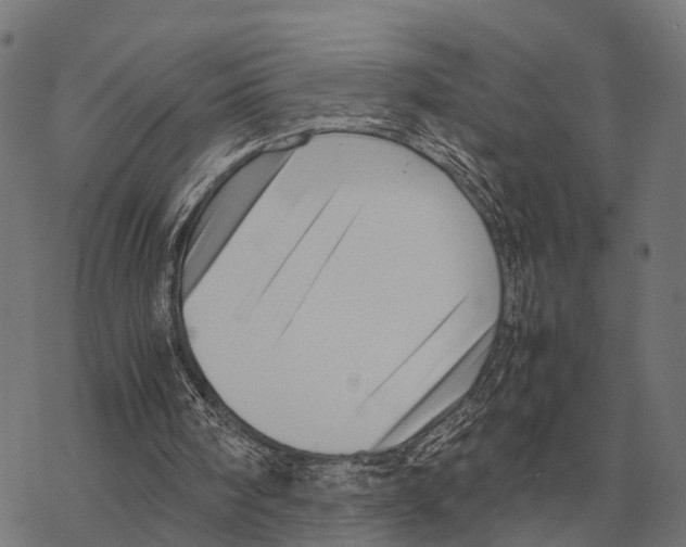 X0000067890098200605111901