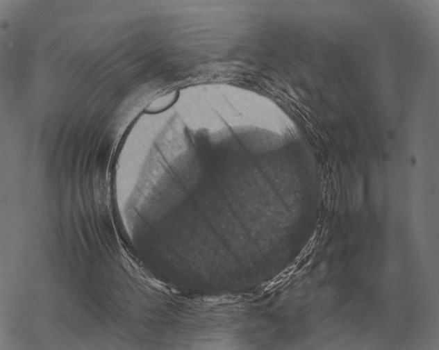 X0000067890100200605111901