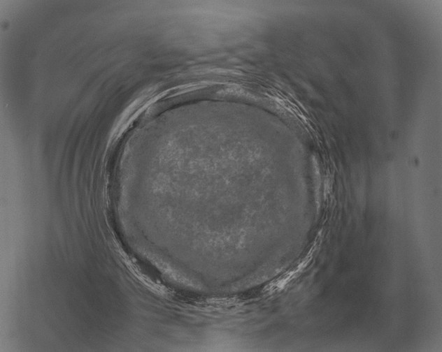 X0000067890101200605111901