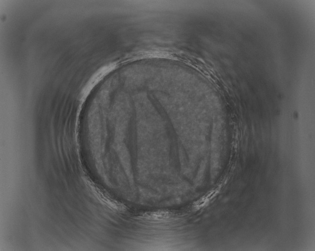 X0000067890104200605111901