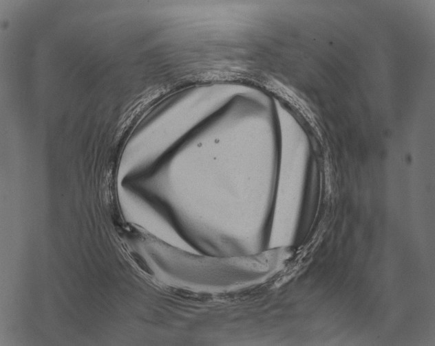 X0000067890105200605111901