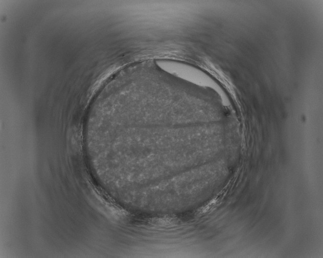 X0000067890107200605111901