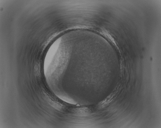 X0000067890108200605111901