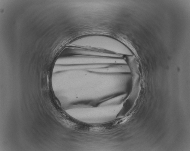 X0000067890109200605111901