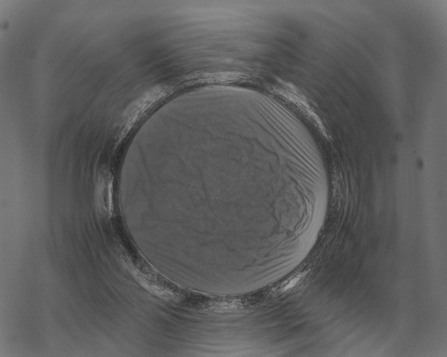 X0000067890110200605111901