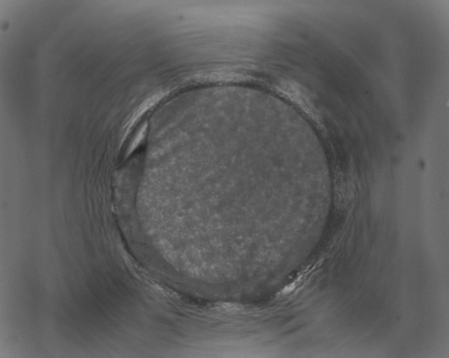 X0000067890111200605111901