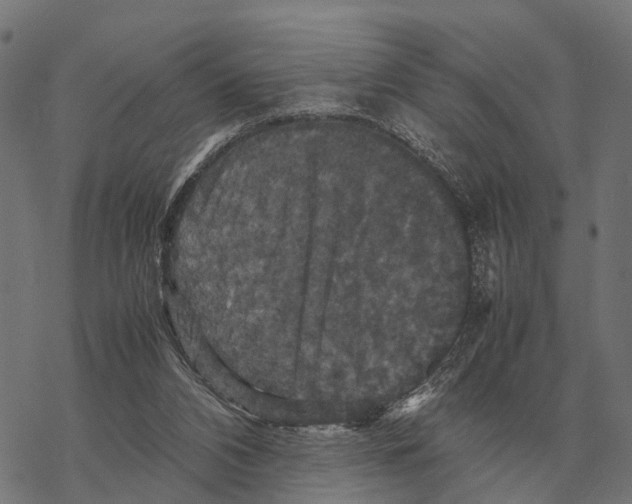 X0000067890112200605111901