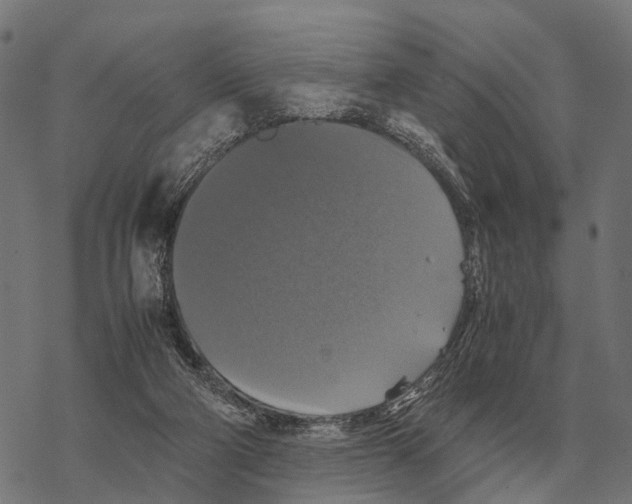 X0000067890114200605111901